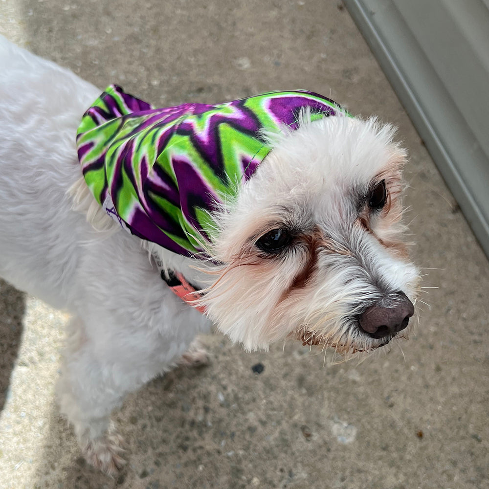 Mougee Pet Bandana - Match Your Favorite Flow Star Designs with Your Pet! β view 7