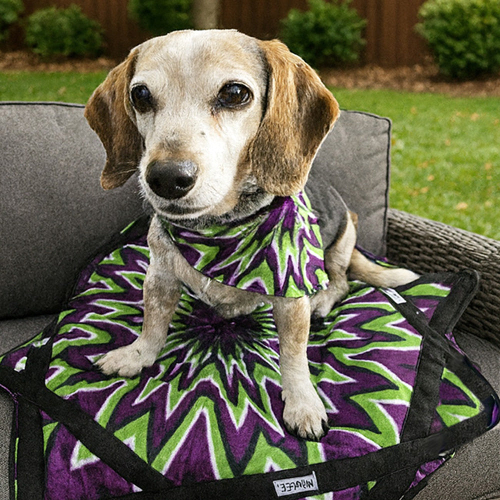 Mougee Pet Bandana - Match Your Favorite Flow Star Designs with Your Pet! β view 6