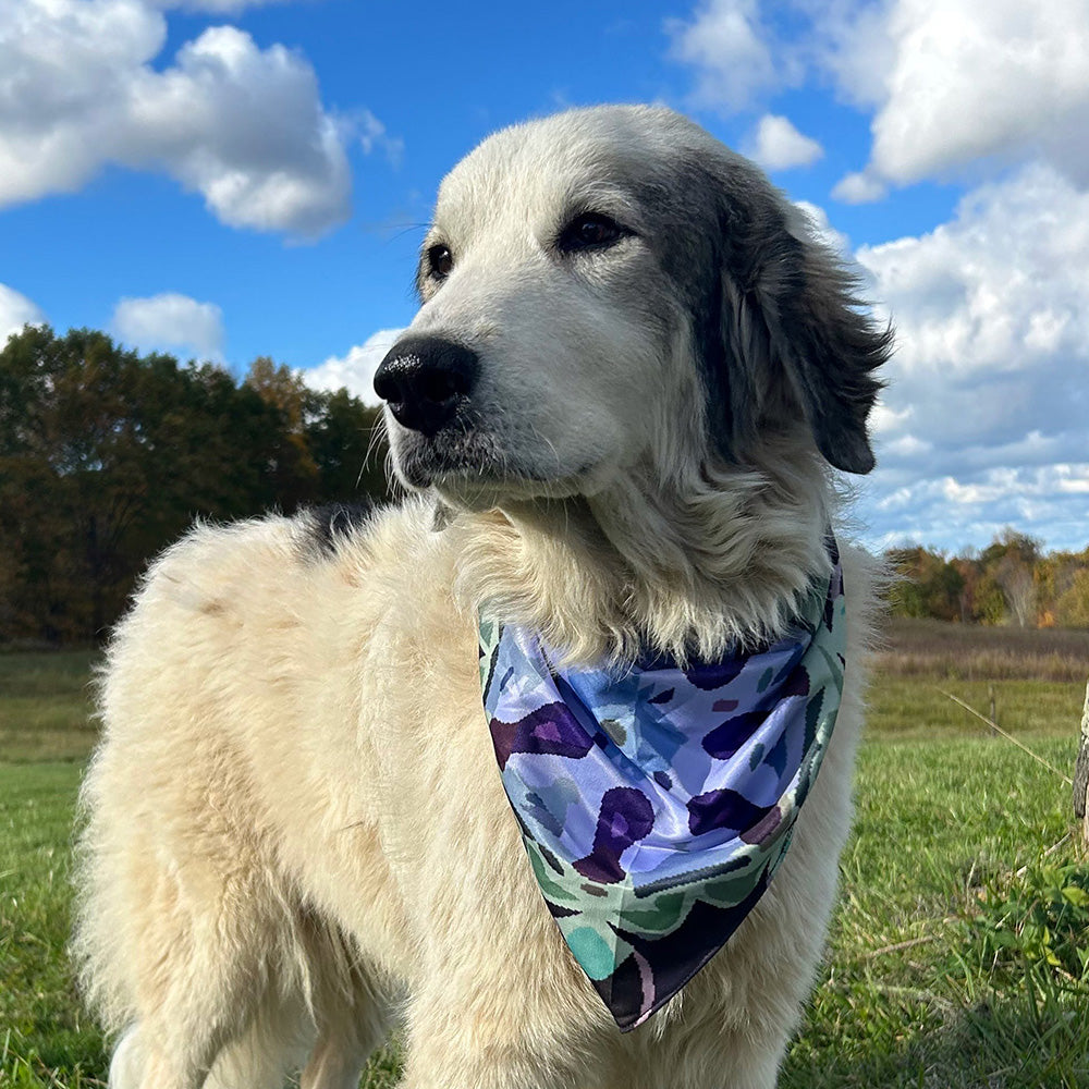 Mougee Pet Bandana - Match Your Favorite Flow Star Designs with Your Pet!