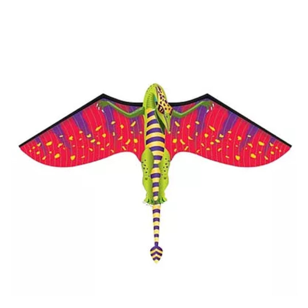 X-Kites WindZone 2D Nylon Kite - Ready to Fly — view 4