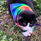 Mougee Pet Bandana - Match Your Favorite Flow Star Designs with Your Pet! — view 5