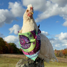 Mougee Pet Bandana - Match Your Favorite Flow Star Designs with Your Pet! — view 2