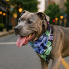 Mougee Pet Bandana - Match Your Favorite Flow Star Designs with Your Pet! — view 3