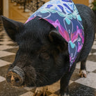 Mougee Pet Bandana - Match Your Favorite Flow Star Designs with Your Pet! — view 4
