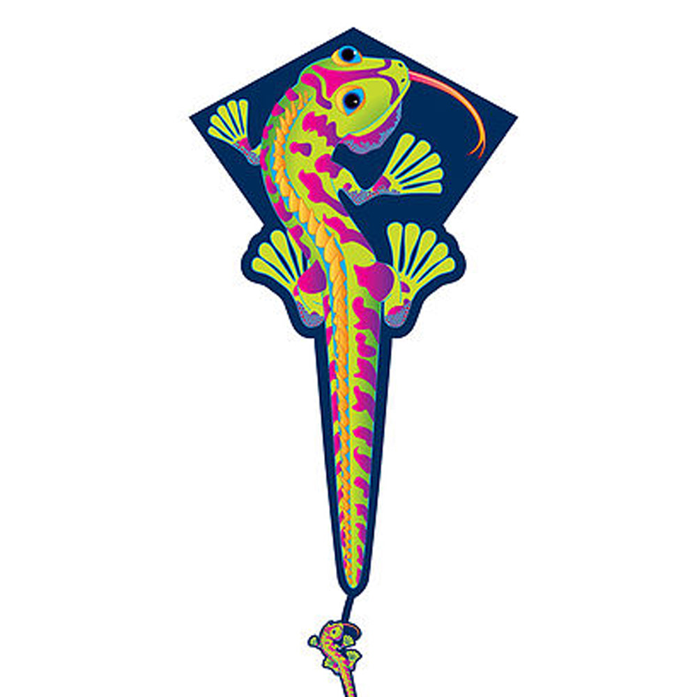 X-Kites DLX Diamond Nylon Kite — view 4