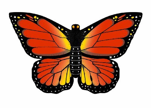 WindnSun Butterfly Kite 32" - Gorgeous Colors! - YoYoSam