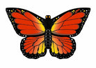 WindnSun Butterfly Kite 32" - Gorgeous Colors! - YoYoSam