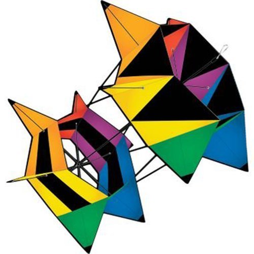 WindnSun Nylon Box Kite - YoYoSam