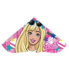 X-Kites Skydelta 42in Poly Kite - — view 21