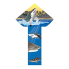 WindNSun Breezyfliers 42" Kite - Tails, Handle, Line Included - YoYoSam