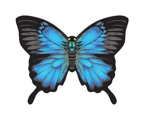 WindNSun Microkite Mini Mylar Butterfly 4.7" - YoYoSam
